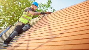 Best Roof Moss and Algae Removal  in Waipio Acres, HI